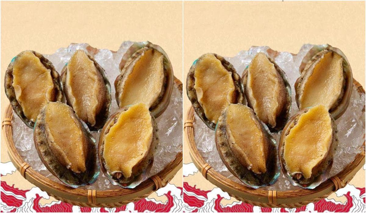 台中人敲碗!王品吃到飽「和牛涮」要來了,650元就能爽吃和牛,台北店2人同行送九孔鮑 台中人敲碗!王品吃到飽「和牛涮」要來了,650元就能爽吃和牛,台北店2人同行送九孔鮑
