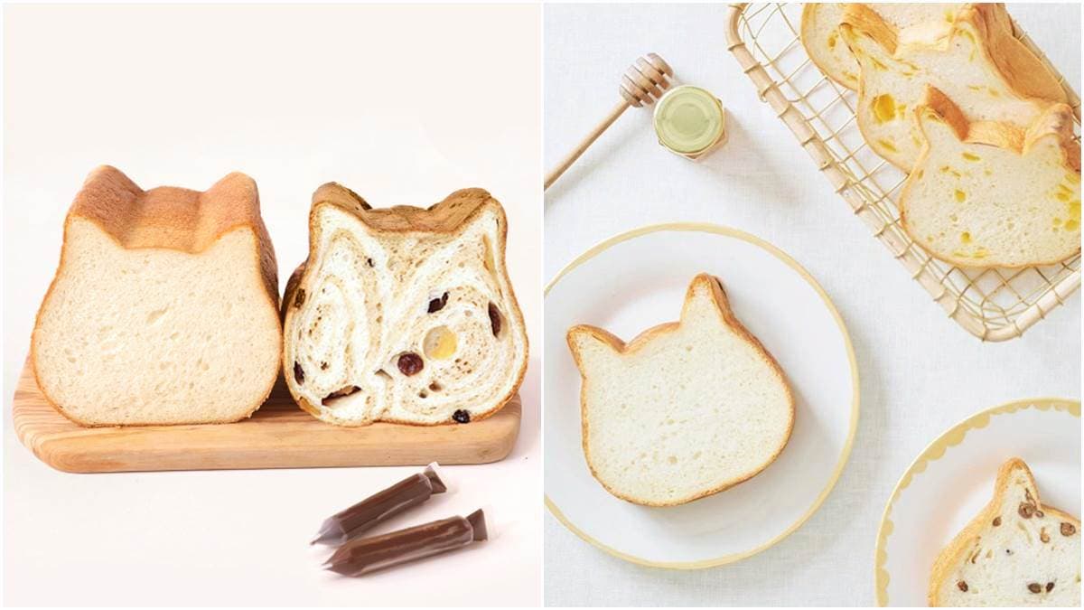 像極了虎斑貓!日本超夯貓咪生吐司加推「楓糖蘋果」口味,每日50條只賣11天