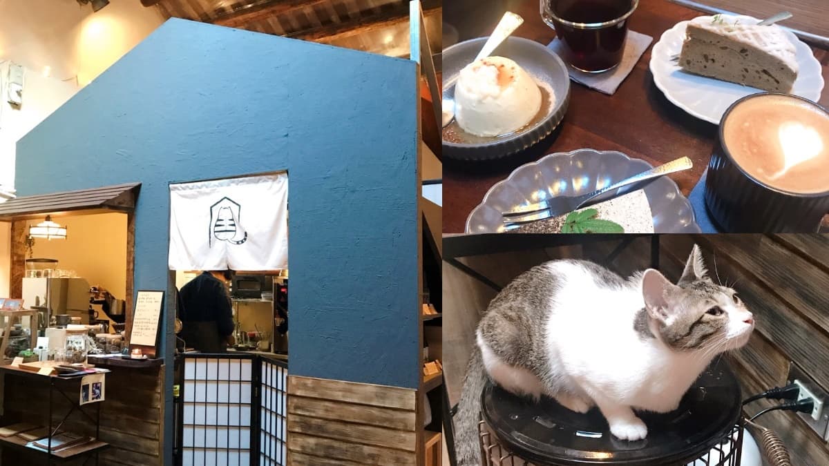【新開店】貓奴快私藏!台版小京都「弄宅 」獨家大人布丁、金澤手沖咖啡,還有萌喵等門