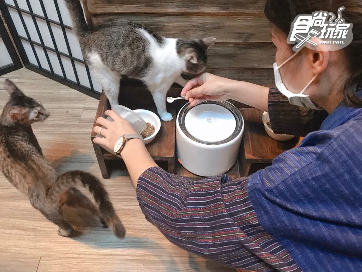 【新開店】貓奴快私藏!台版小京都「弄宅 」獨家大人布丁、金澤手沖咖啡,還有萌喵等門 【新開店】貓奴快私藏!台版小京都「弄宅 」獨家大人布丁、金澤手沖咖啡,還有萌喵等門