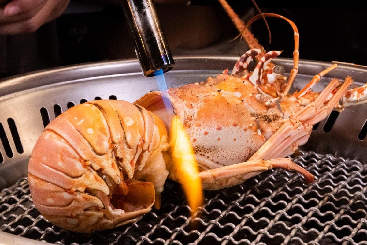 吃到飽網美燒肉店4人同行送龍蝦,壽星送A5和牛!加碼「黑松露拌飯」「黑糖蕨餅」任吃 吃到飽網美燒肉店4人同行送龍蝦,壽星送A5和牛!加碼「黑松露拌飯」「黑糖蕨餅」任吃