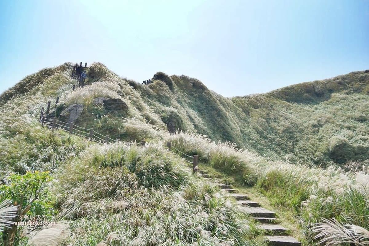 快衝銀白色花海!雙北3大秋季限定芒草美景:火山口地貌、天海一色步道 快衝銀白色花海!雙北3大秋季限定芒草美景:火山口地貌、天海一色步道