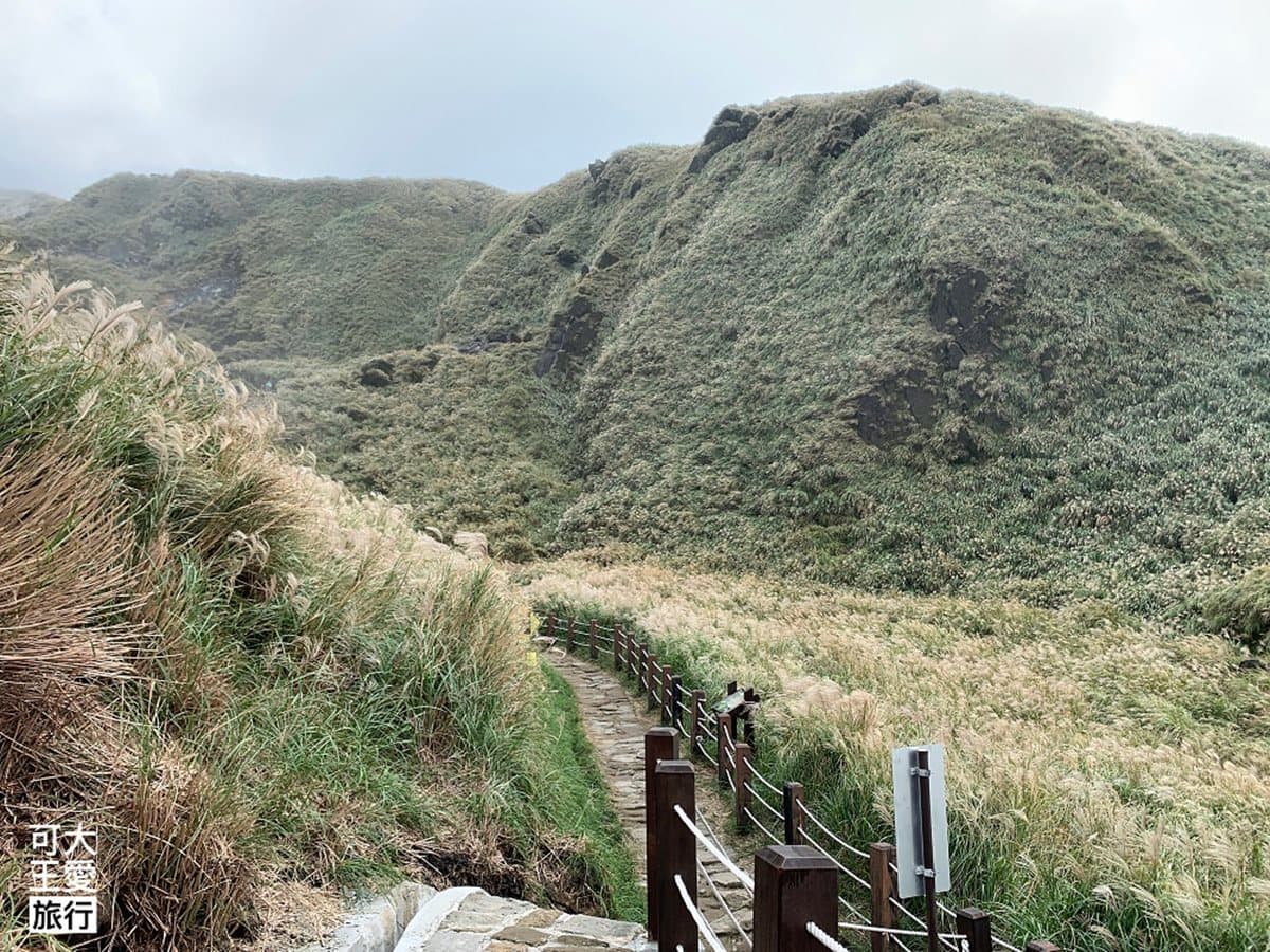 快衝銀白色花海!雙北3大秋季限定芒草美景:火山口地貌、天海一色步道 快衝銀白色花海!雙北3大秋季限定芒草美景:火山口地貌、天海一色步道