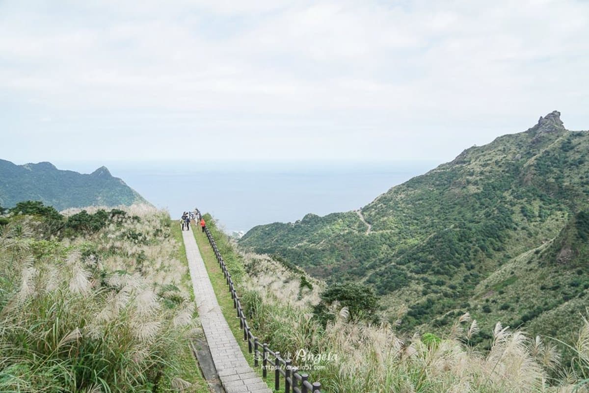 快衝銀白色花海!雙北3大秋季限定芒草美景:火山口地貌、天海一色步道 快衝銀白色花海!雙北3大秋季限定芒草美景:火山口地貌、天海一色步道