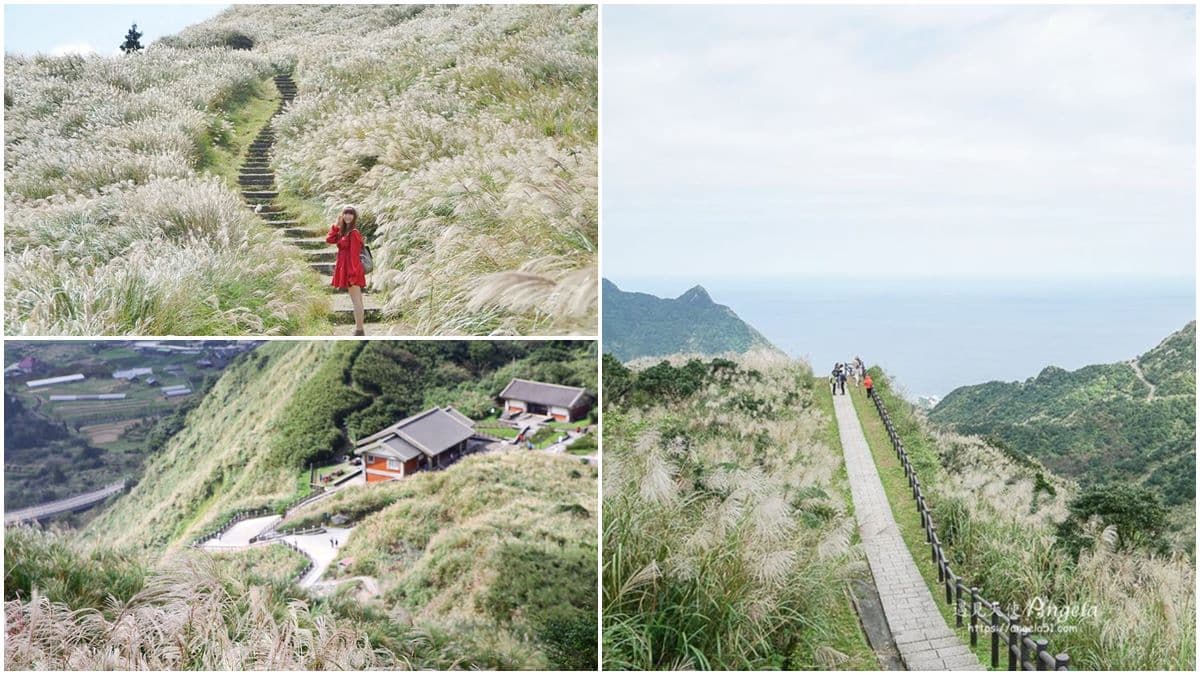 快衝銀白色花海!雙北3大秋季限定芒草美景:火山口地貌、天海一色步道