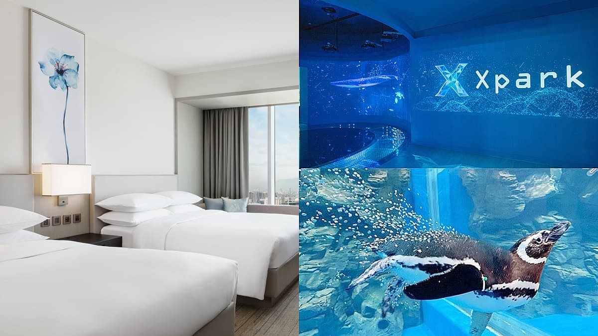 2大飯店「買一晚送一晚」!近3折爽住水族館live打卡房,還送Xpark門票