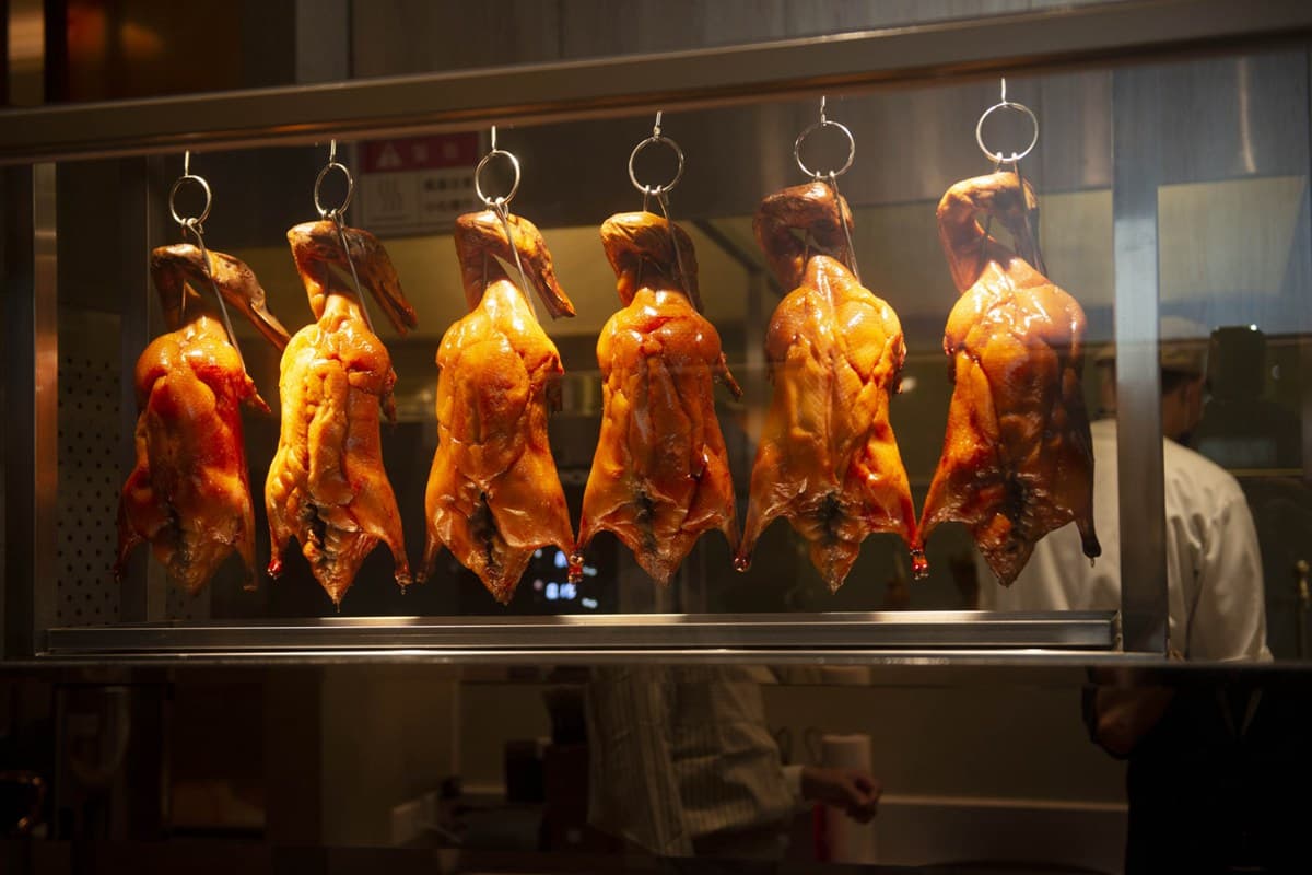 【本月推薦新開店】北中南14家超有哏餐廳:飛機主題咖啡店、都市叢林餐酒館 【本月推薦新開店】北中南14家超有哏餐廳:飛機主題咖啡店、都市叢林餐酒館