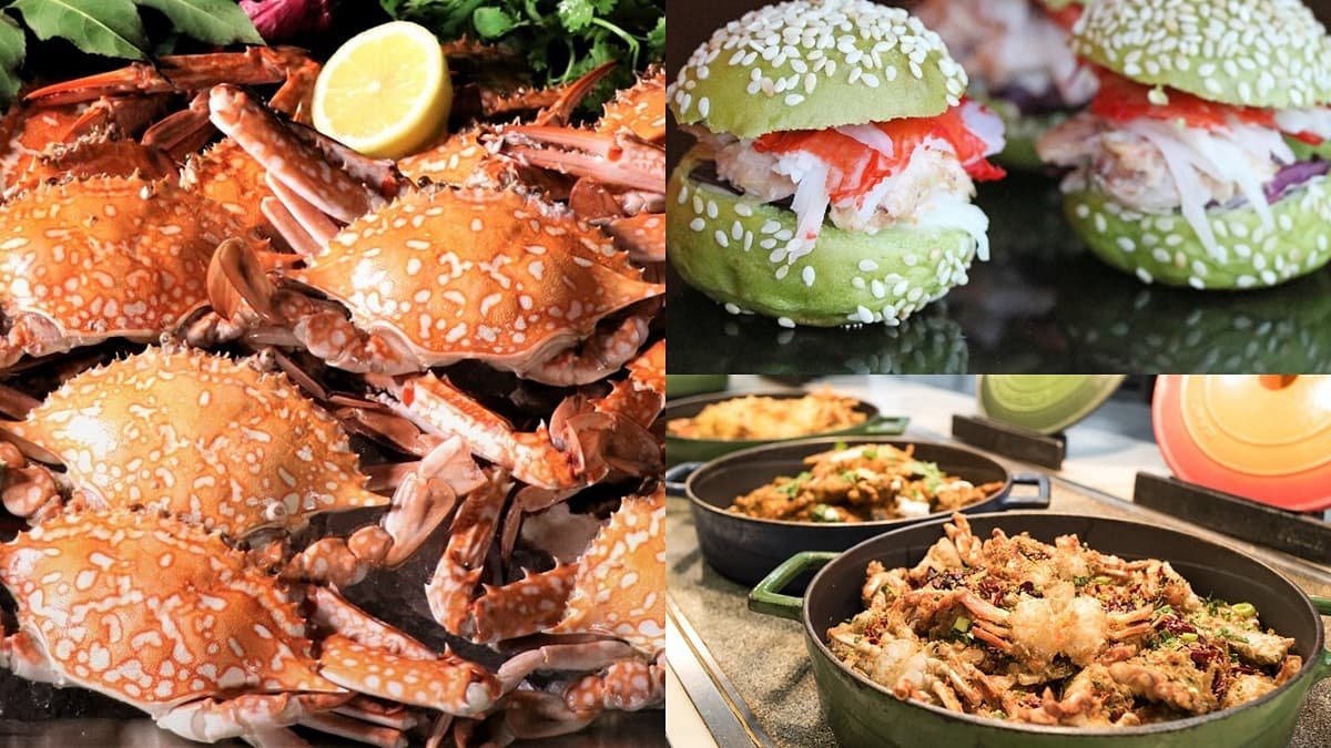 超狂2大飯店「螃蟹吃到飽」!整隻大閘蟹「免費加菜」,帝王蟹、海膽、蟹肉馬卡龍都有