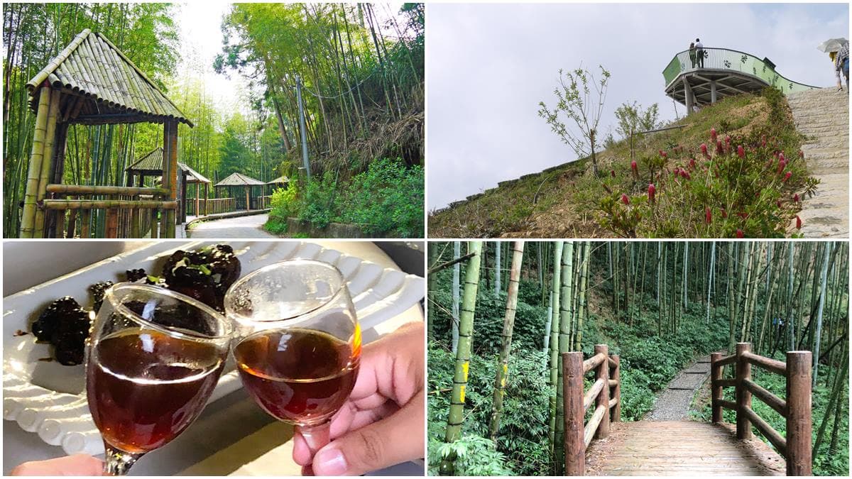 雲林祕境1日遊!天空之城看雲海、美拍台版嵐山,還能順路喝世界冠軍咖啡