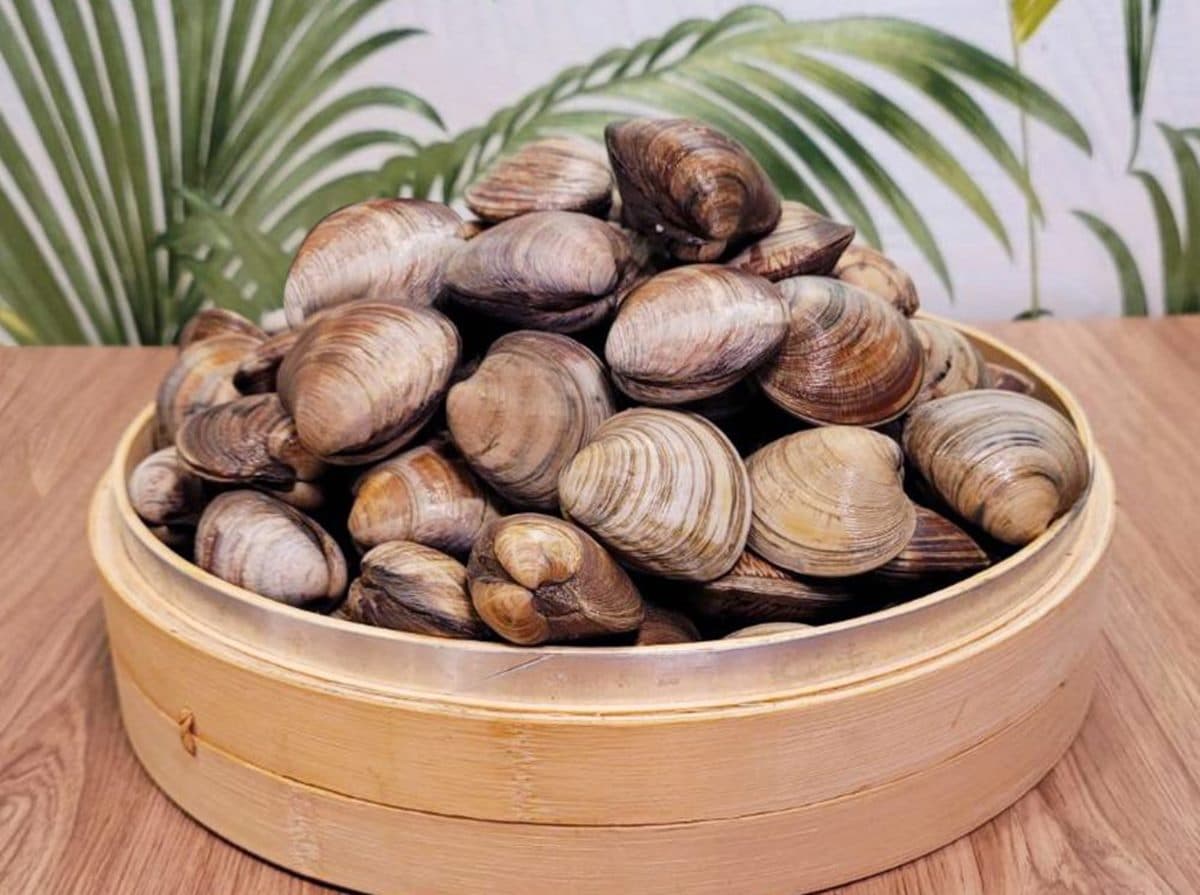 吃貨們請收下!3月全台26間美食優惠:壽星送「歲數雞翅山」、點心買一送一、用餐5折 吃貨們請收下!3月全台26間美食優惠:壽星送「歲數雞翅山」、點心買一送一、用餐5折