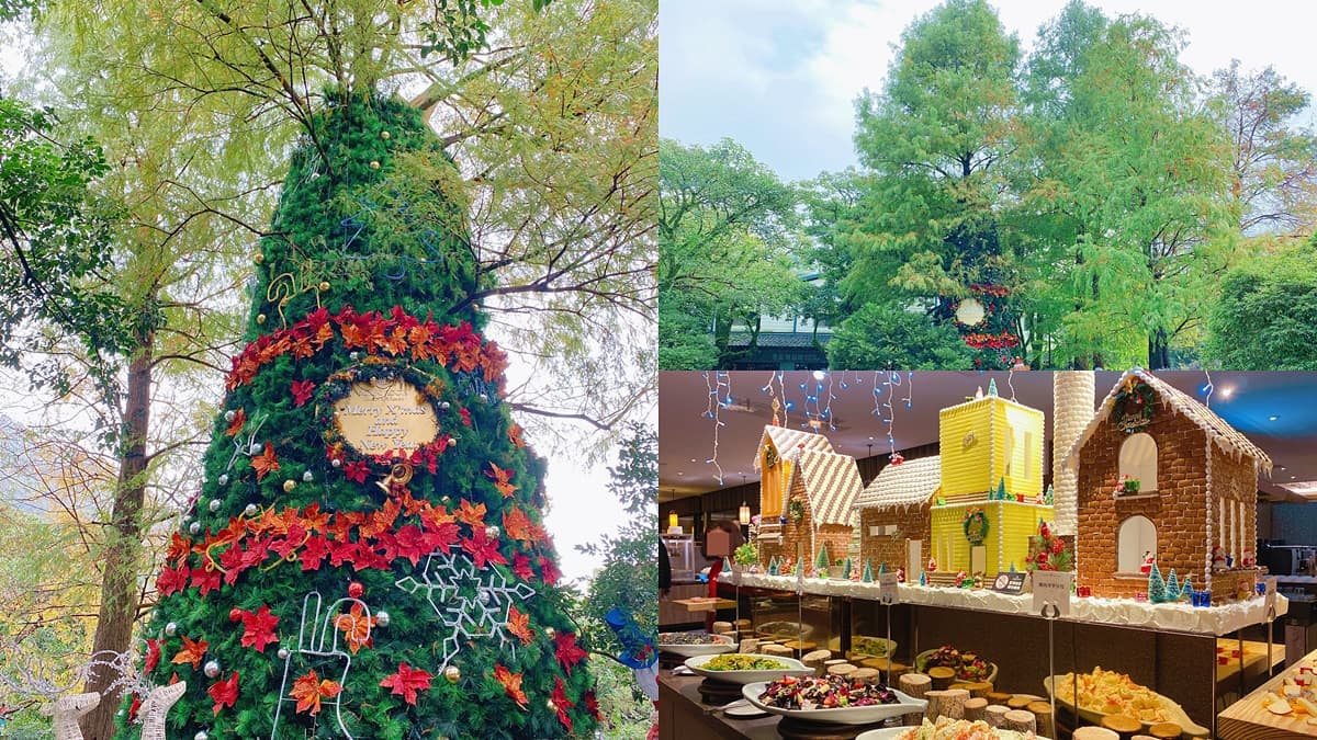 全台唯一「落羽松耶誕樹」!森林版「新北耶誕城」泡湯邊拍,還有海陸大餐、吃到飽爽嗑
