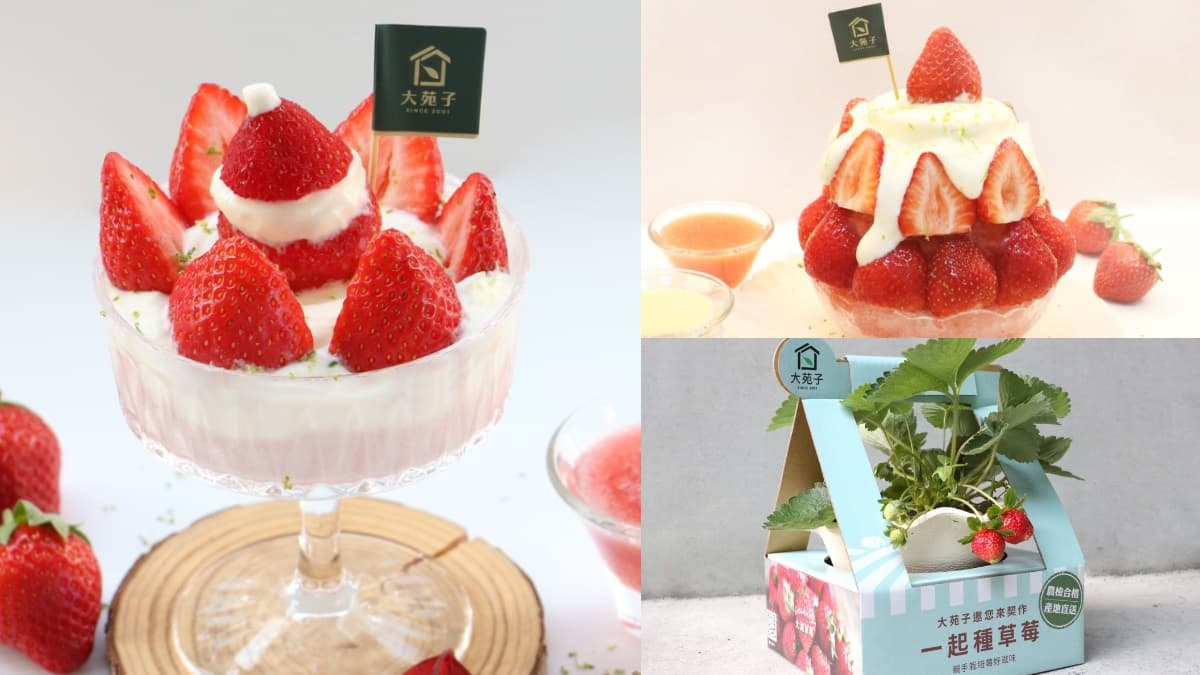 滿滿草莓+鹹奶霜最誘人!大苑子「最狂草莓季」再推2款全新冰品,還能自己種草莓