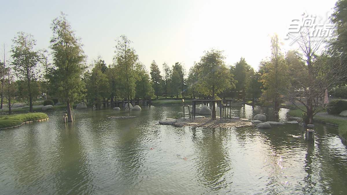 不出國也有日式美照!雲林台版兼六園免費隨你逛,必拍超美湖中「愛心」