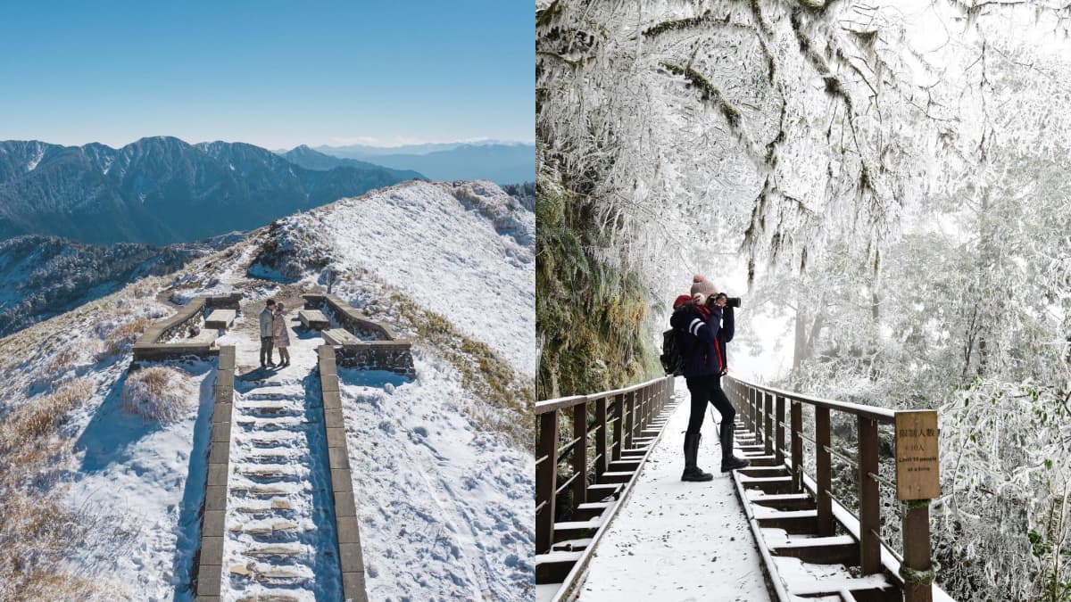 追雪族快衝!新一波寒流再襲台,太平山、合歡山「下雪時間」曝光