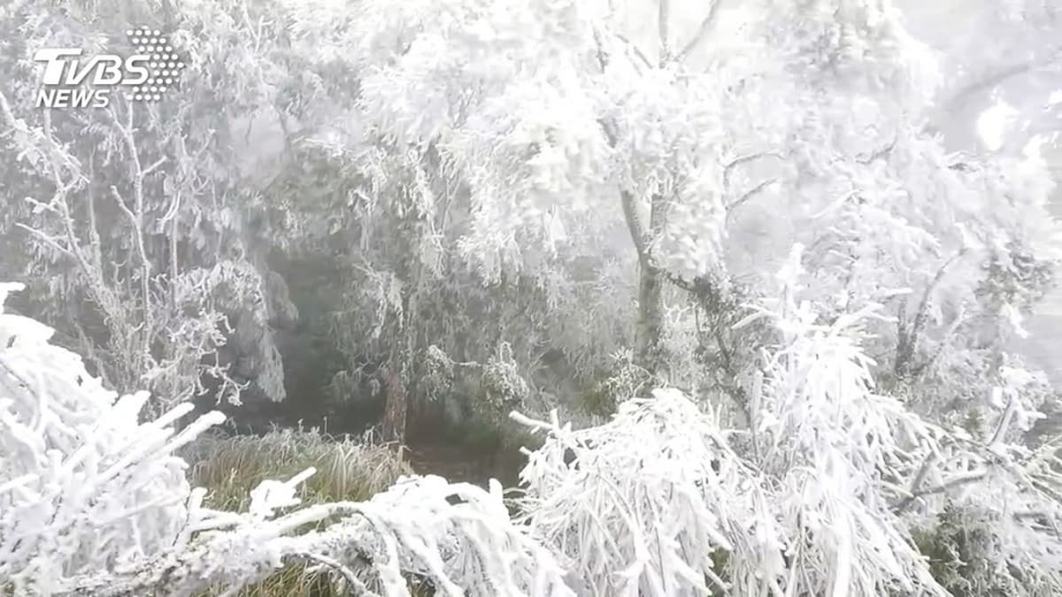 追雪族注意!宜蘭「太平山」下探0度急凍,1/7起至1/10這時管制入園