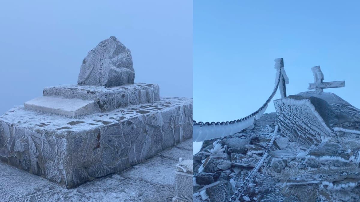 -6.7度銀白世界!玉山出現夢幻「霧淞步道」,最冷寒流登山需注意