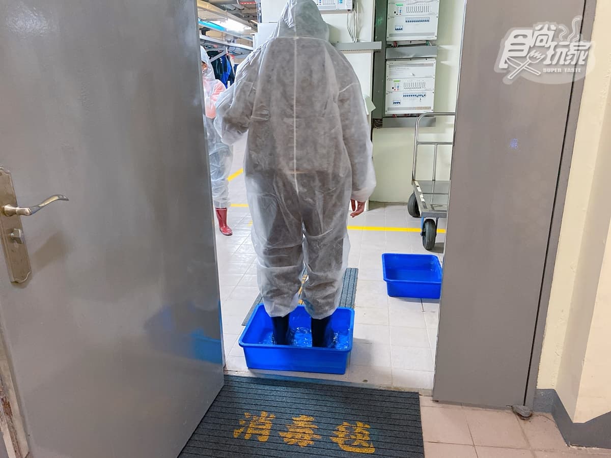 腳邊都是企鵝!全台首次「餵企鵝體驗」開賣,一次看到4大品種、近100隻企鵝給你餵 腳邊都是企鵝!全台首次「餵企鵝體驗」開賣,一次看到4大品種、近100隻企鵝給你餵