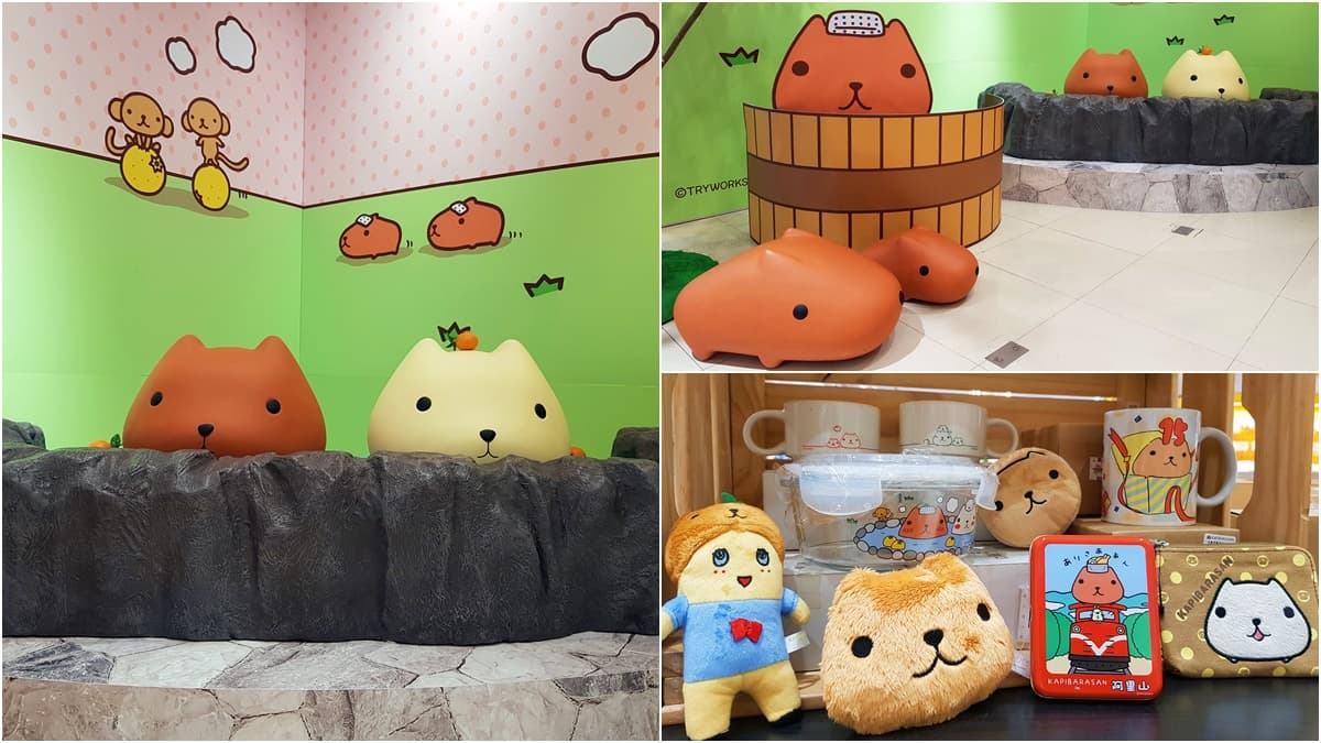 獨家「溫泉造景」!南部獨家「水豚君期間限定店」免費拍,800項超萌周邊搶先逛