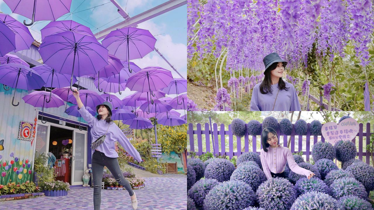 漫步紫色仙境!噢哈娜咖啡屋「紫藤花步道」太夢幻,紫色花傘、波波草超好拍