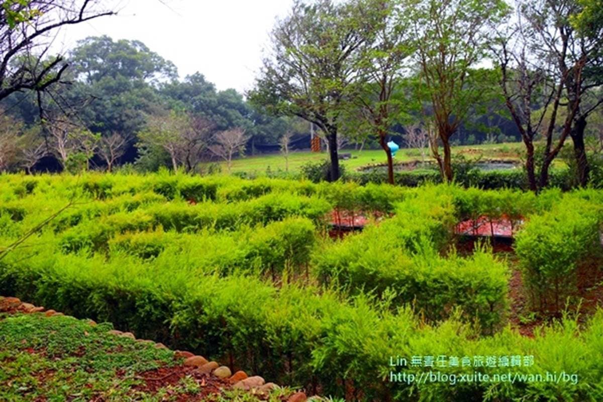 整座農村都是遊樂場!大北坑社區親子遊4打卡點:茶樹迷宮、麻糬DIY、美人茶餐 整座農村都是遊樂場!大北坑社區親子遊4打卡點:茶樹迷宮、麻糬DIY、美人茶餐