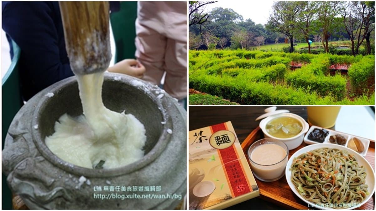 整座農村都是遊樂場!大北坑社區親子遊4打卡點:茶樹迷宮、麻糬DIY、美人茶餐