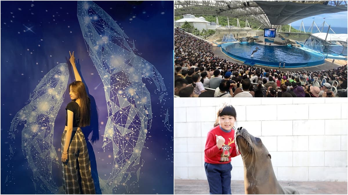 尋找「紅衣小女孩」!海洋公園春節「穿紅上衣」小童免費入園,鄉親入園現省191元