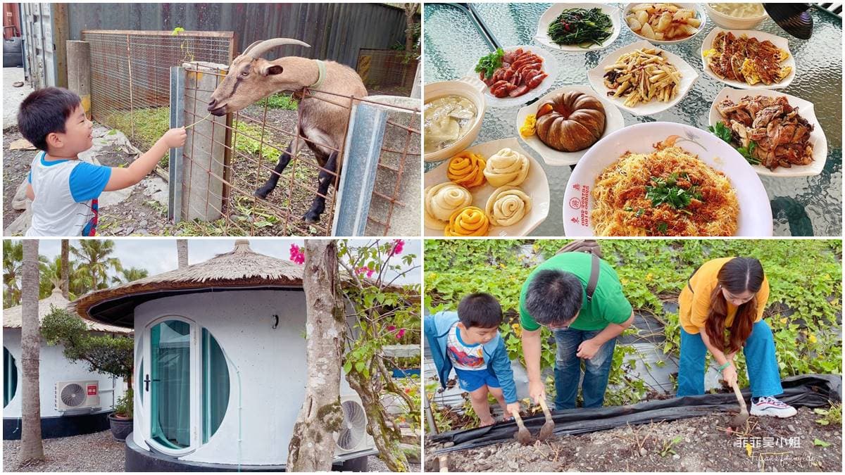 小朋友瘋了!宜蘭親子農場體驗挖地瓜、餵動物,還能吃有機蔬果餐、住特色涵管屋