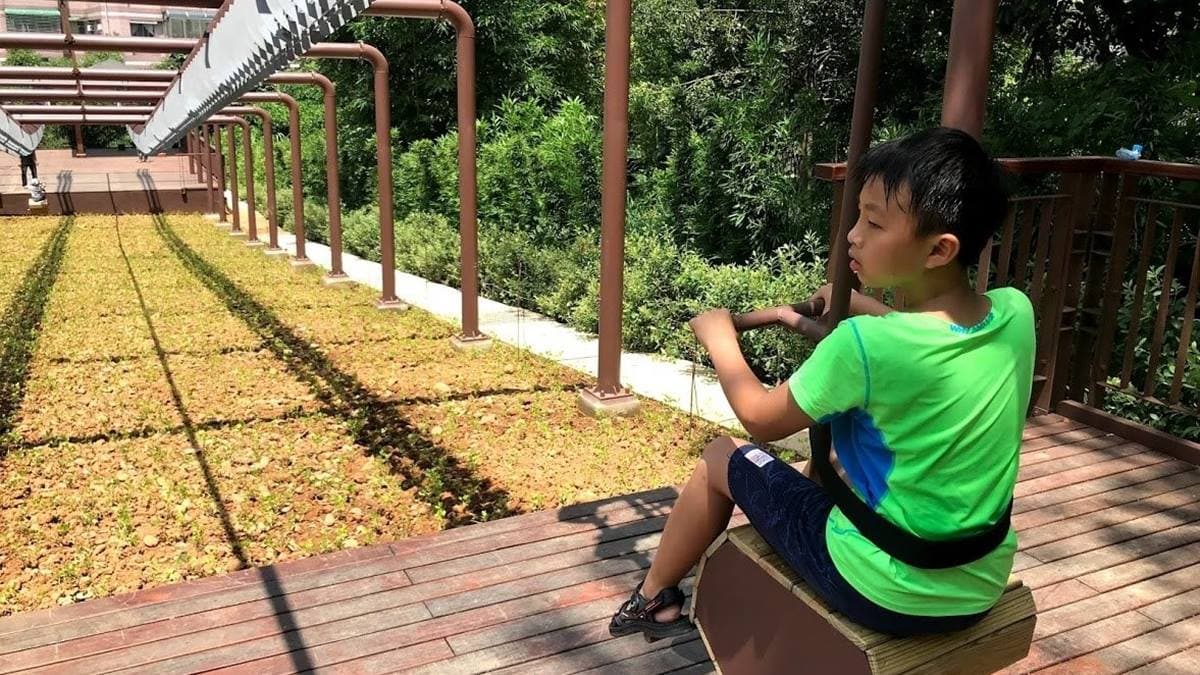 爸媽快收!桃園梯田公園全齡遊戲設施大朋友也能玩,先衝超刺激松鼠嬉戲溜索 爸媽快收!桃園梯田公園全齡遊戲設施大朋友也能玩,先衝超刺激松鼠嬉戲溜索