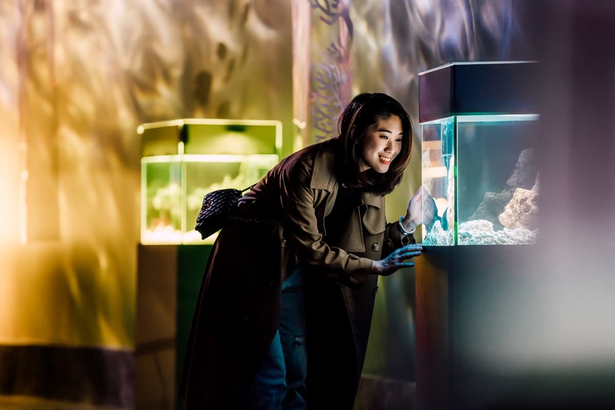 全台獨創「海洋版色廊展」!34公尺水族缸看「七色海洋」,寶可夢、清朝裝生物都出現 全台獨創「海洋版色廊展」!34公尺水族缸看「七色海洋」,寶可夢、清朝裝生物都出現