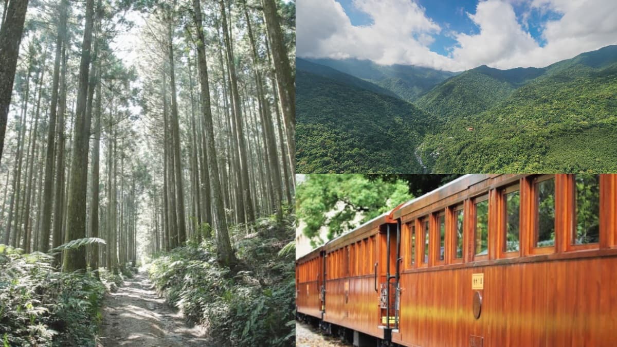 12星座這樣玩!全台「森林遊樂區」免費接駁車+春節開放狀況一次看