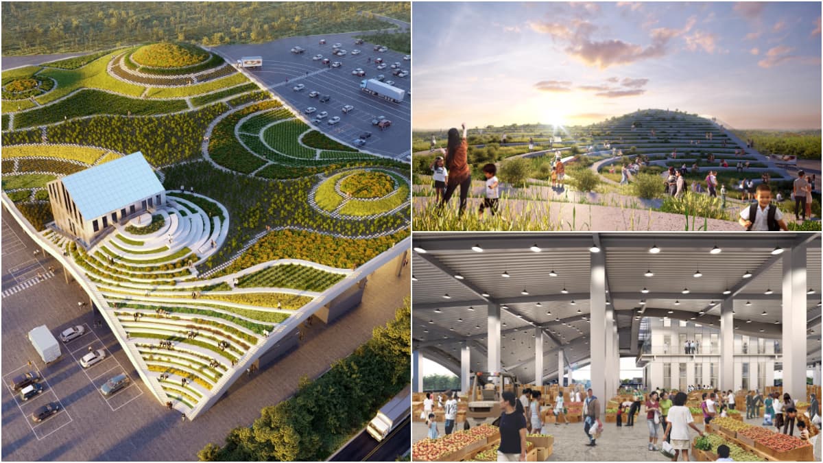 全台首間「梯田式菜市場」!台南「新化果菜市場」9月開,波浪式屋頂種菜、遛小孩
