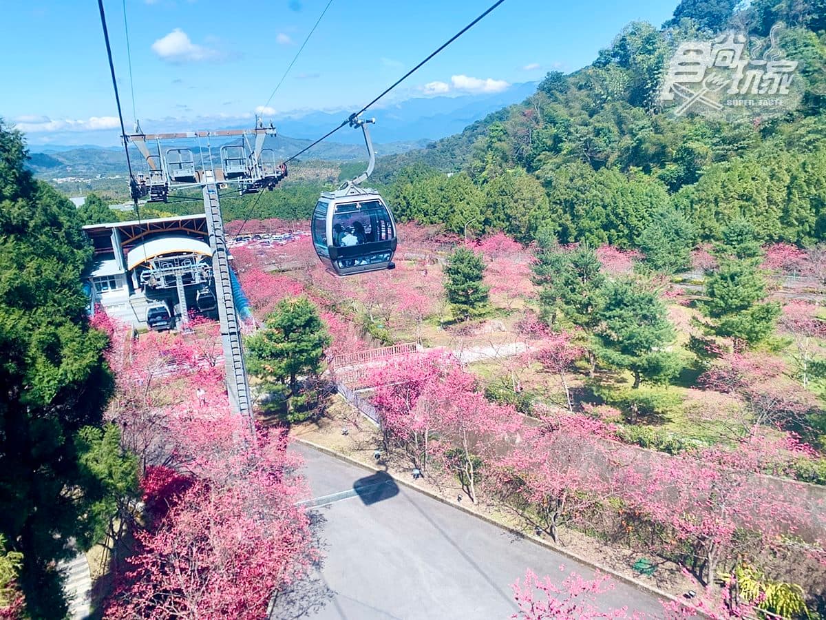 228連假出門玩!全台13間樂園門票優惠:兒童「免費入園」、屬牛99元、鄉親現省191元 228連假出門玩!全台13間樂園門票優惠:兒童「免費入園」、屬牛99元、鄉親現省191元