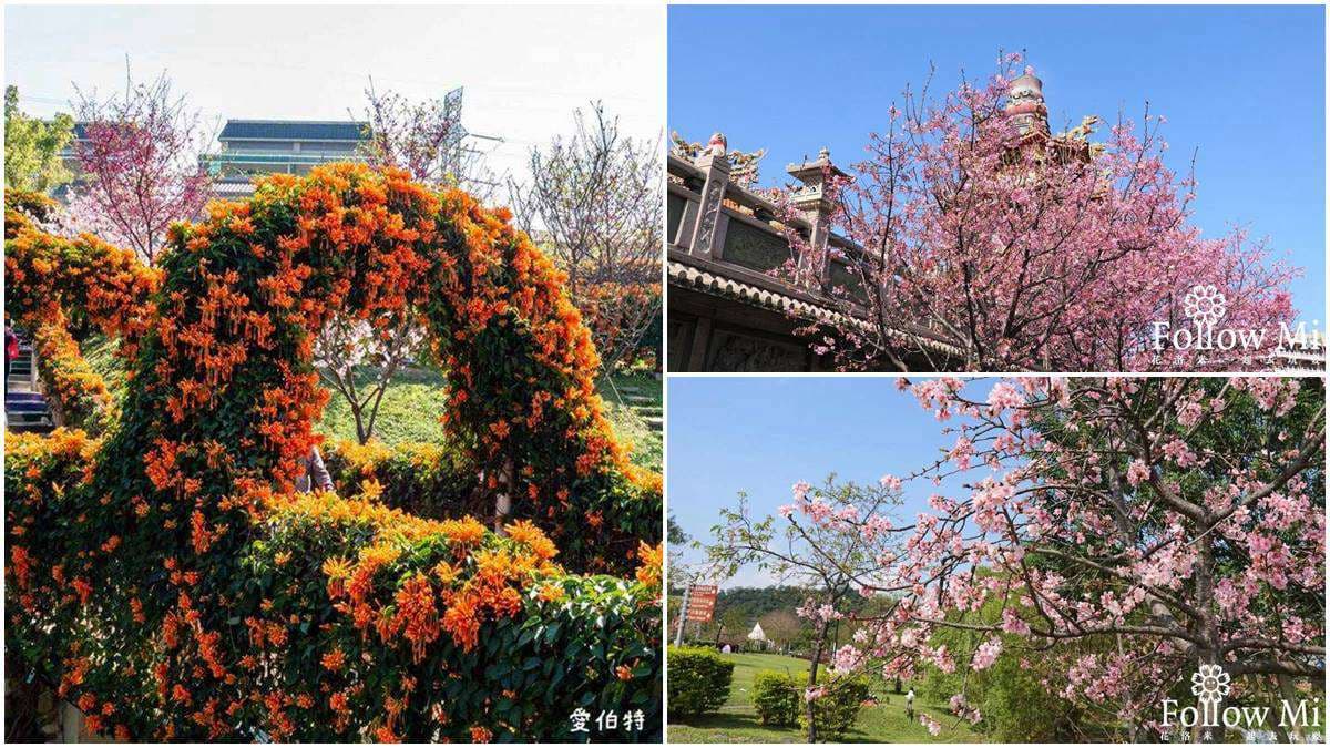 連假打卡必衝!新北4處免費美拍花海:粉嫩河津櫻、炮仗花隧道