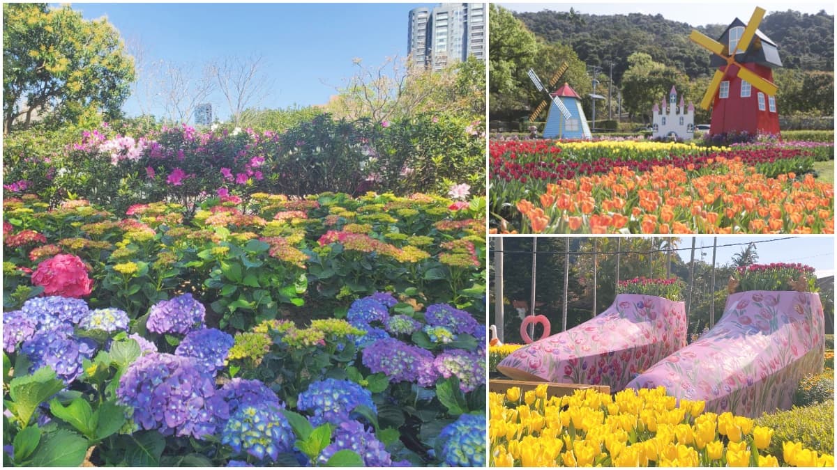 花控連假一次追!大安森林公園「杜鵑&繡球花」、士林官邸11萬株「鬱金香花海」都美翻