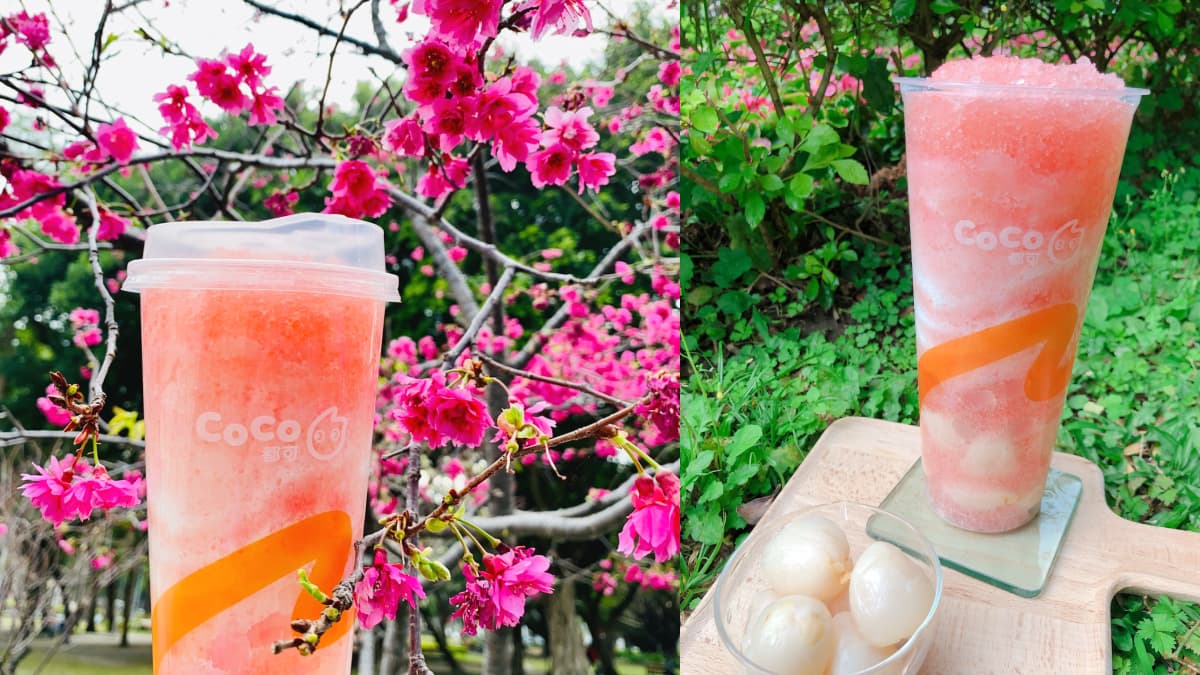 賞花+粉嫩手搖絕配!CoCo推季節限定「櫻花粉荔」,滿滿荔枝+波波晶球+芝士奶蓋爆滿足 賞花+粉嫩手搖絕配!CoCo推季節限定「櫻花粉荔」,滿滿荔枝+波波晶球+芝士奶蓋爆滿足