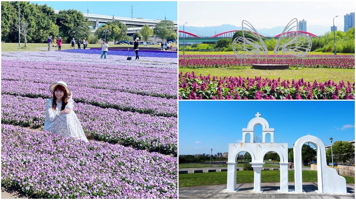 台北市區1秒偽出國!河濱公園賞13萬株「漸層紫花海」,還能打卡希臘風婚紗美拍地