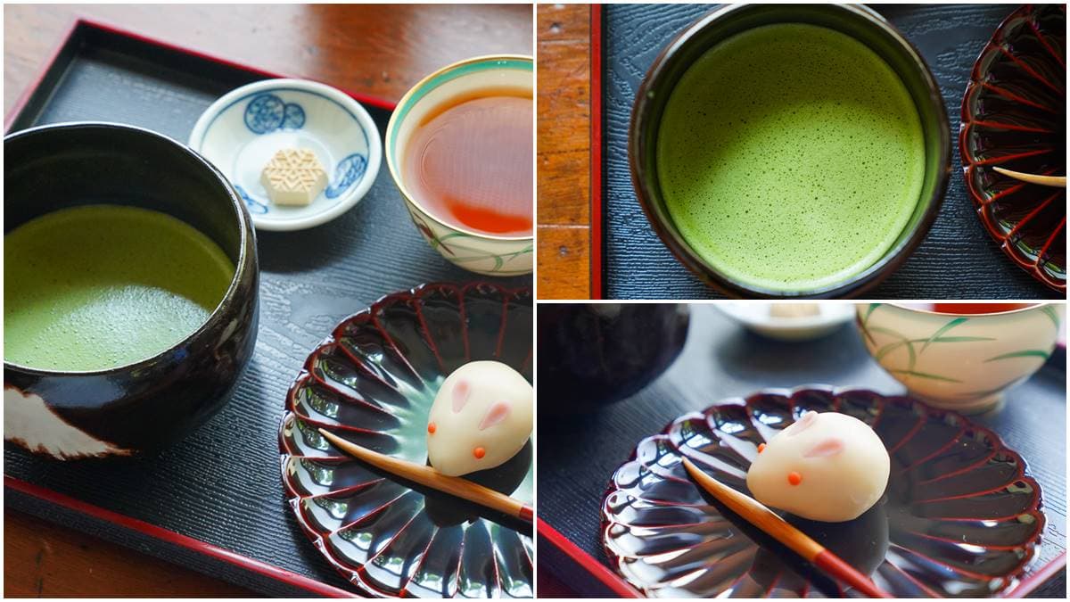 神還原京都!糖廠宿舍改造茶道院IG暴紅,高階抹茶老饕喝法先吃「三盆糖」 神還原京都!糖廠宿舍改造茶道院IG暴紅,高階抹茶老饕喝法先吃「三盆糖」