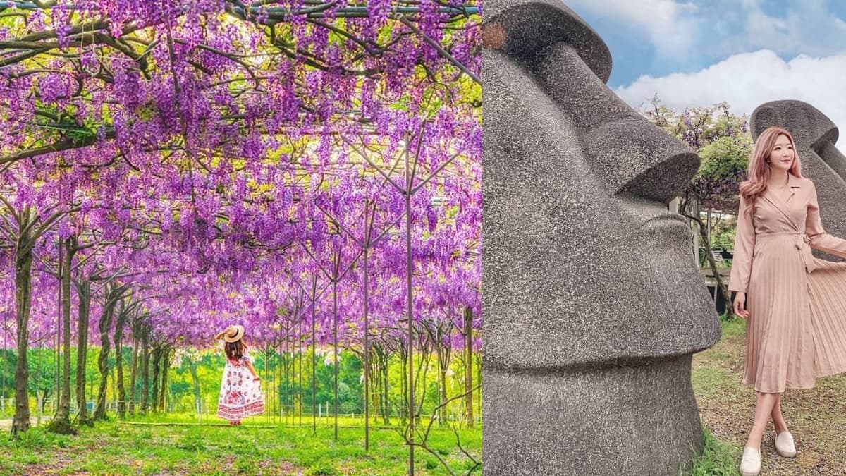 3/13搶先開放!全台最大「萬坪紫藤花園」在這,夢幻紫藤步道、摩艾石像限時拍