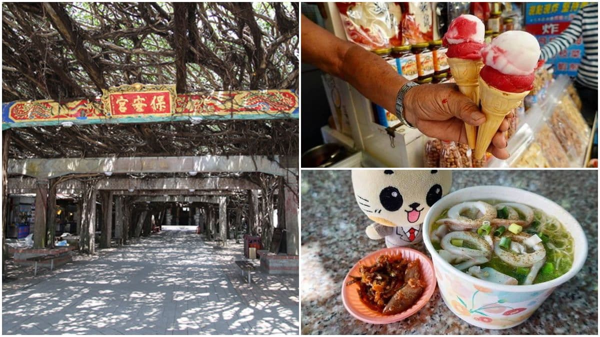 打卡百年奇景!澎湖古廟美拍600坪樹蔭隧道,順路吃50年仙人掌冰、海菜小卷米粉