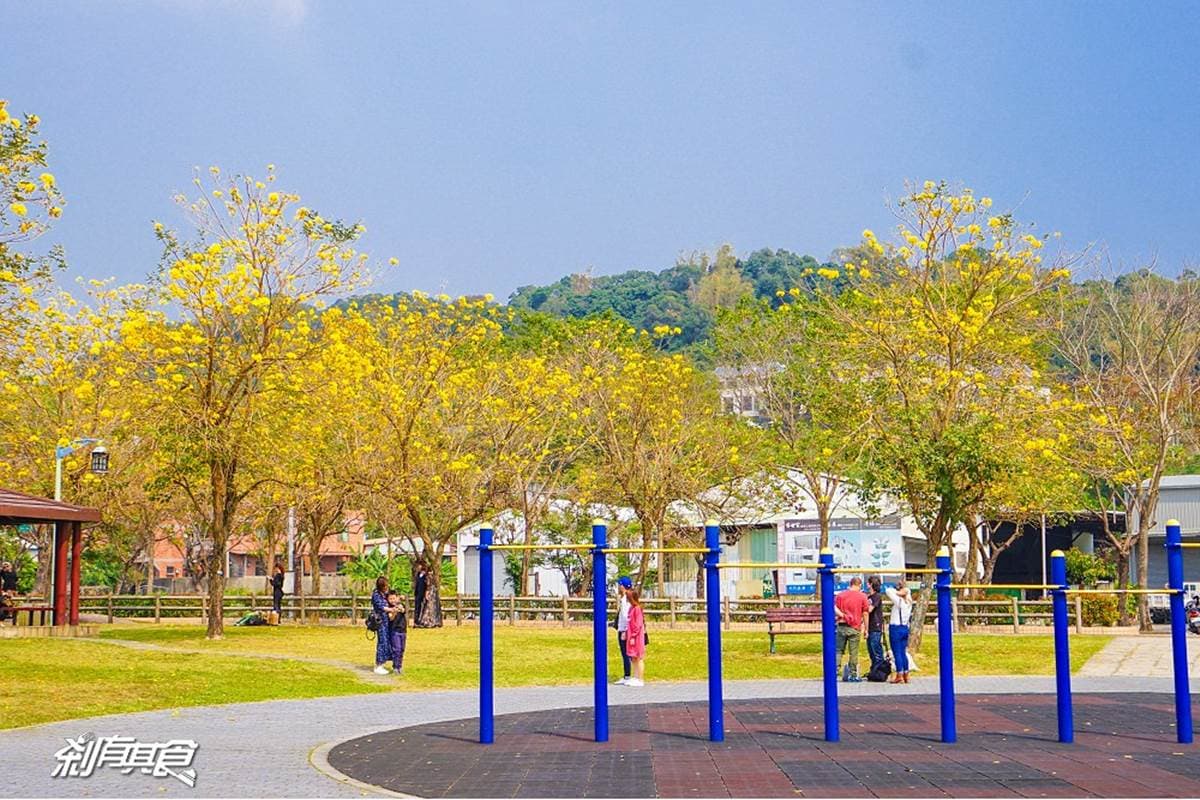 暑假免費放電推薦!台中5大好玩公園:全球首創3D攀爬、立體迷宮、恐龍滑梯 暑假免費放電推薦!台中5大好玩公園:全球首創3D攀爬、立體迷宮、恐龍滑梯
