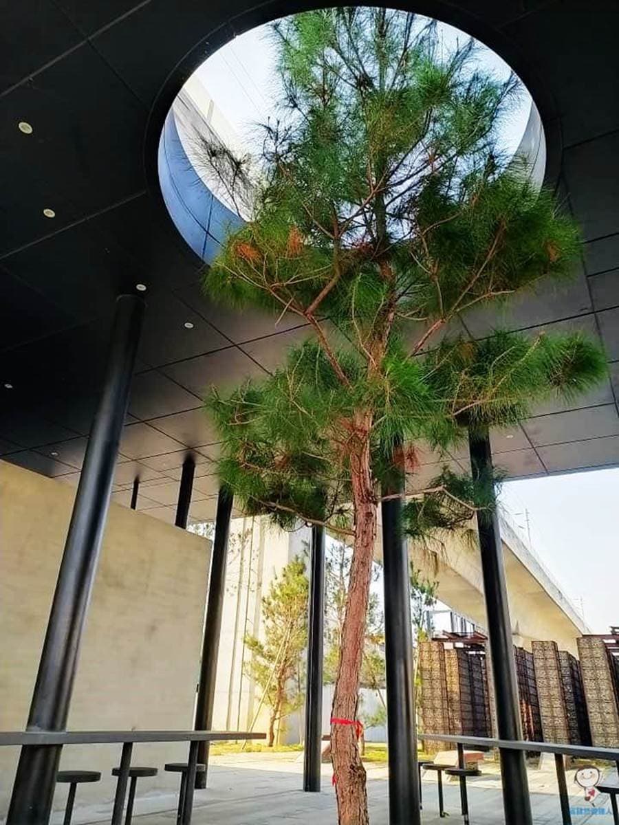 免費玩!台中火車站周邊「走路就能到」4景點:全台唯一鐵道空中花園、湖濱生態園區 免費玩!台中火車站周邊「走路就能到」4景點:全台唯一鐵道空中花園、湖濱生態園區