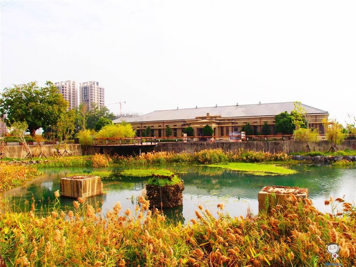 免費玩!台中火車站周邊「走路就能到」4景點:全台唯一鐵道空中花園、湖濱生態園區 免費玩!台中火車站周邊「走路就能到」4景點:全台唯一鐵道空中花園、湖濱生態園區