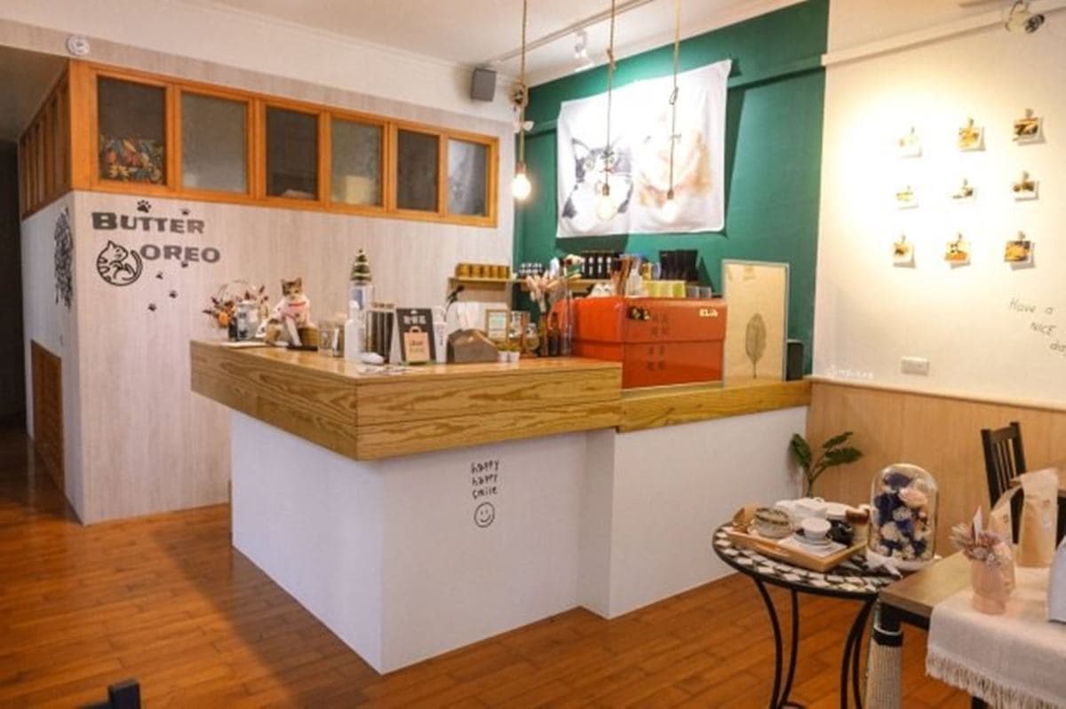 宜蘭口袋名單再+1!超萌店貓陪吃大分量「起司歐姆蕾」,酥脆素雞塊比真肉還扎實 宜蘭口袋名單再+1!超萌店貓陪吃大分量「起司歐姆蕾」,酥脆素雞塊比真肉還扎實