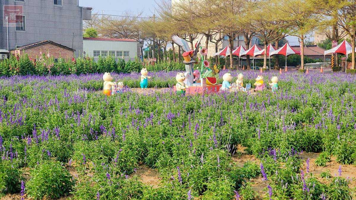 台南3花海一次get!蜀葵、鼠尾草、金黃麥田超美拍,順路吃造型雞蛋糕、10元肉燥飯 台南3花海一次get!蜀葵、鼠尾草、金黃麥田超美拍,順路吃造型雞蛋糕、10元肉燥飯