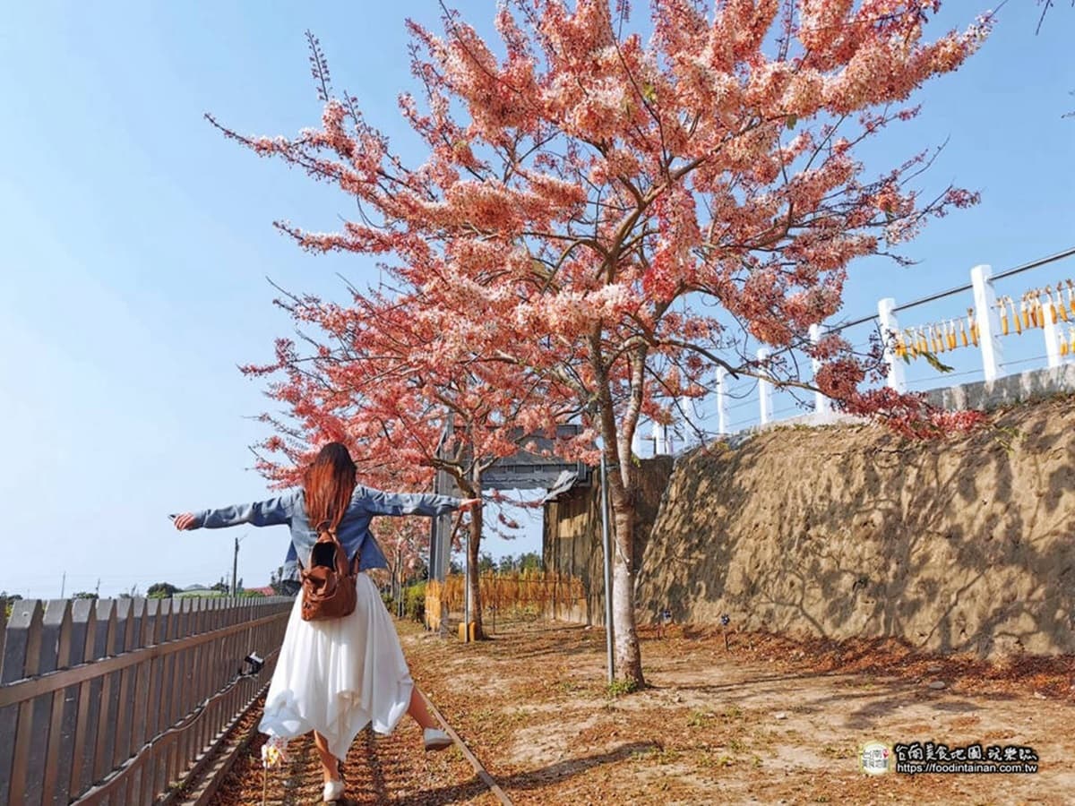 IG瘋打卡!北中南10大仙氣花海:彩色海芋田、萬坪紫藤園、繡球步道 IG瘋打卡!北中南10大仙氣花海:彩色海芋田、萬坪紫藤園、繡球步道