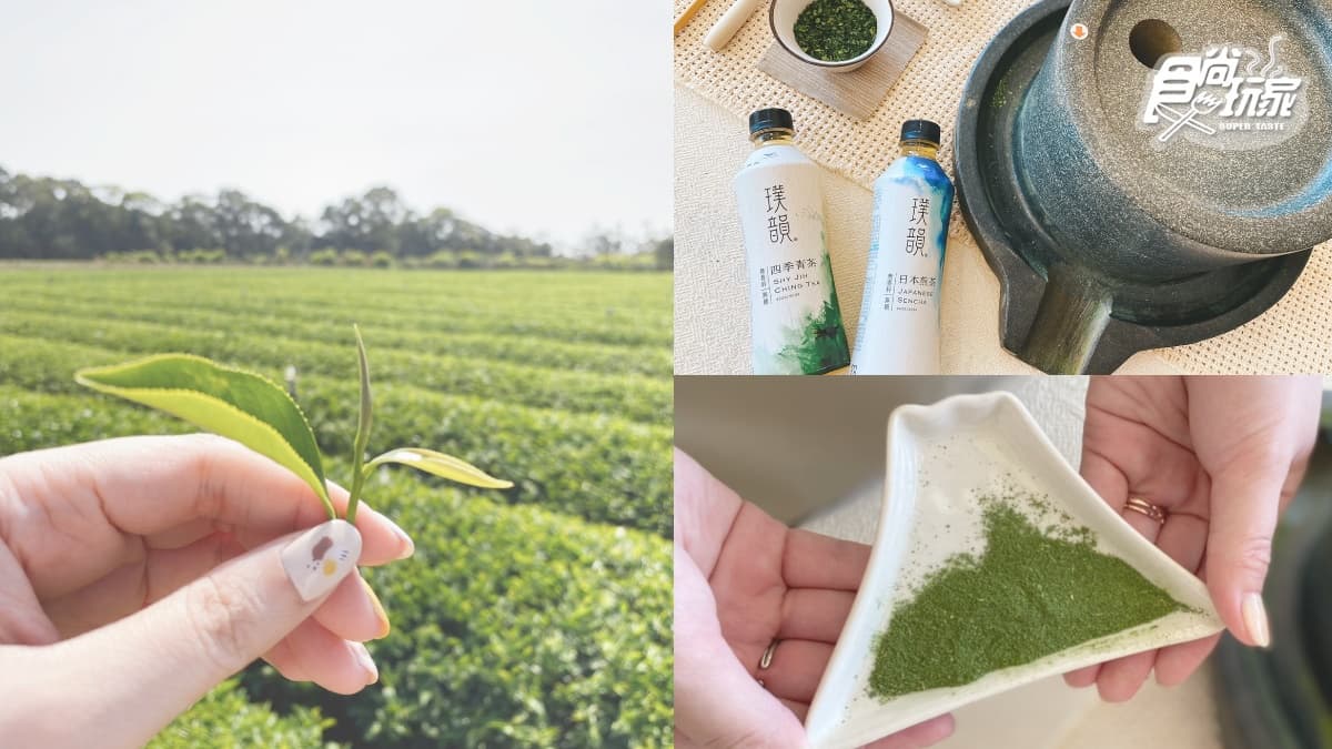 茶飲控請進!食尚小編直擊IG暴紅「文青茶」產地,日本煎茶、台灣青茶口感大比拚