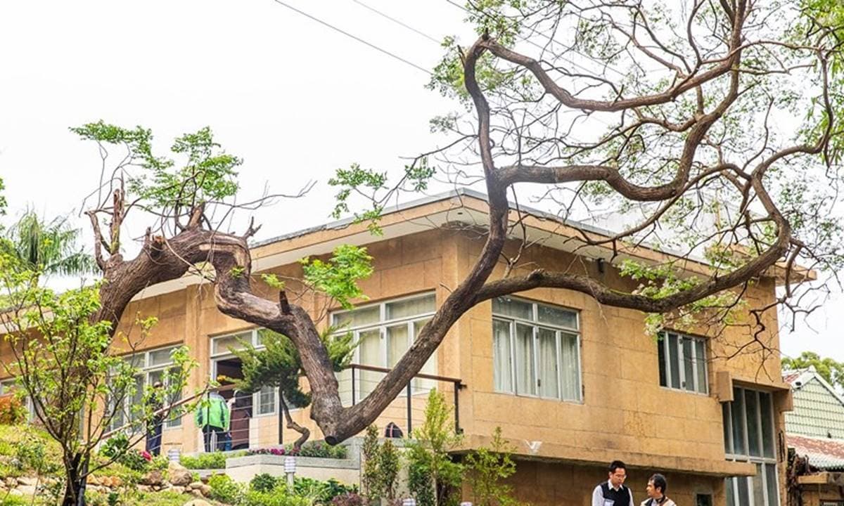 50年來首次開放!遊圓山飯店東密道、孔二小姐故居,還能嘗5任元首國宴菜 50年來首次開放!遊圓山飯店東密道、孔二小姐故居,還能嘗5任元首國宴菜