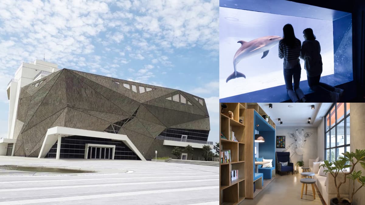 台中海生館明年開幕!10公尺深巨型水槽與4大展區必看,遠雄海洋公園祭住宿+門票37折