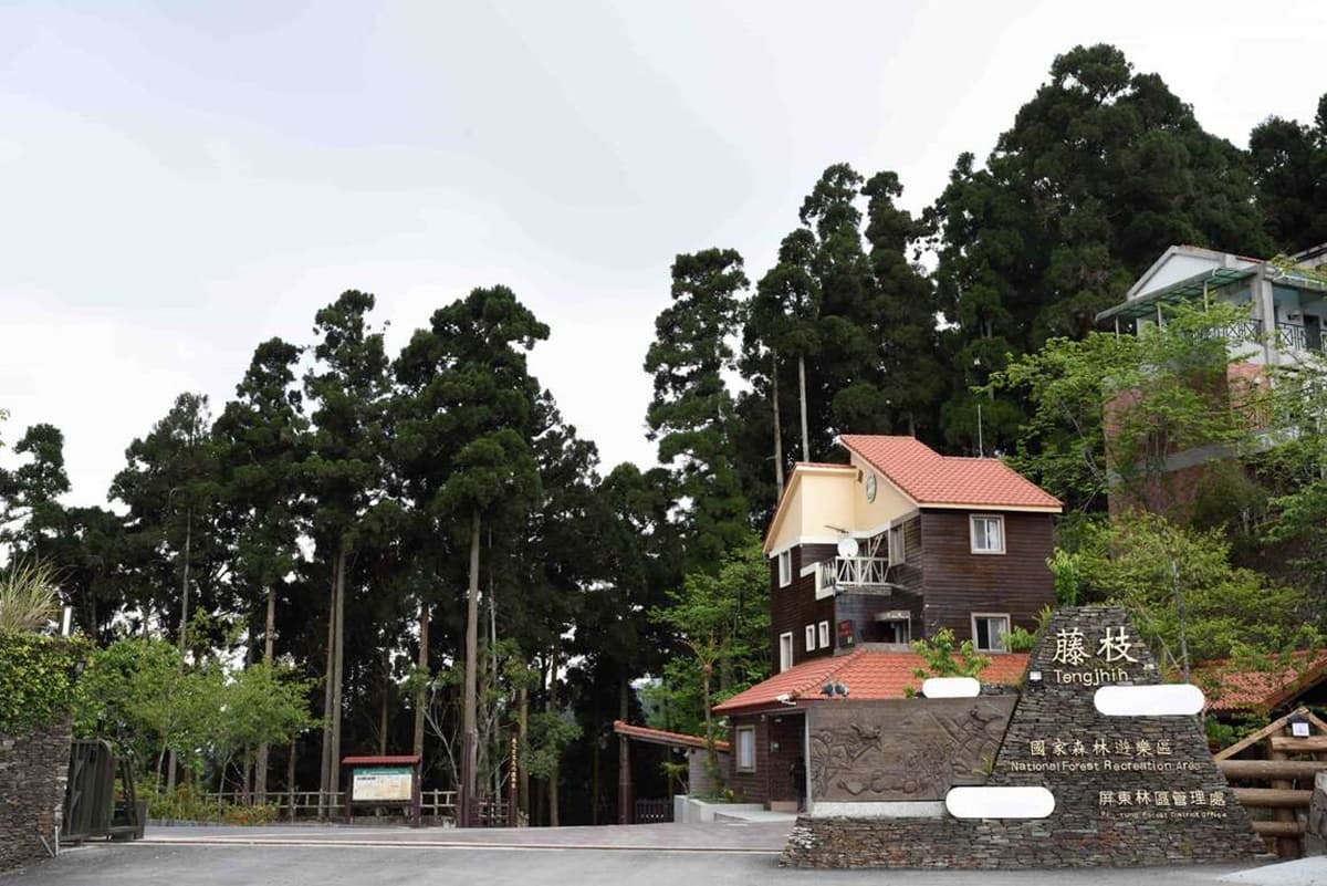 森林版「聽海哭的聲音」!南部「小溪頭」每天只開放500人,一次拍到玉山、卑南主山 森林版「聽海哭的聲音」!南部「小溪頭」每天只開放500人,一次拍到玉山、卑南主山