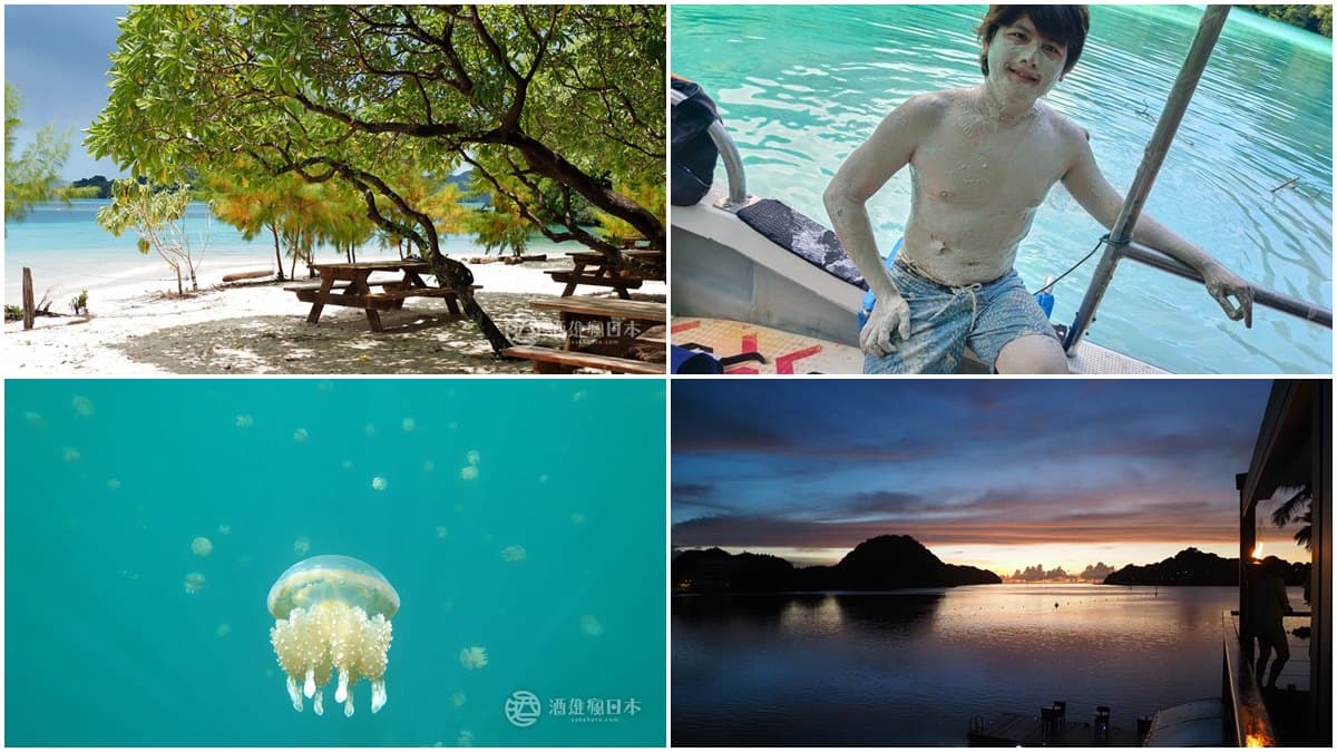 帛琉泡泡行程開箱!部落客4天3夜全紀錄(下):牛奶湖SPA、與水母共游、無人島午餐